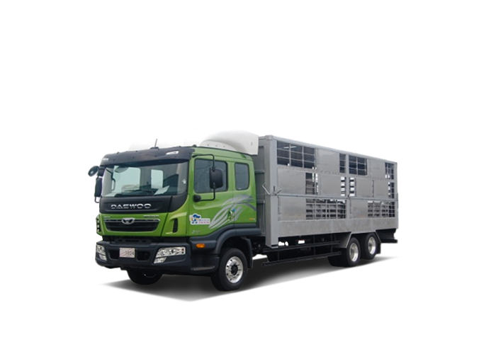Tata Daewoo Livestock transport truck
